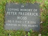 image of grave number 819539